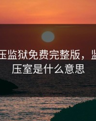 电影高压监狱免费完整版，监狱的高压室是什么意思