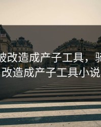 骑士长被改造成产子工具，骑士长被改造成产子工具小说