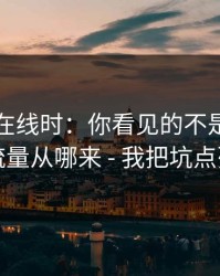 搜索91在线时：你看见的不是结果 · 是它的流量从哪来 - 我把坑点列出来了