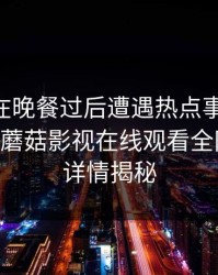 神秘人在晚餐过后遭遇热点事件 情不自禁，蘑菇影视在线观看全网炸锅，详情揭秘