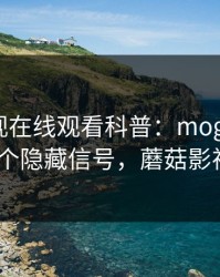 蘑菇影视在线观看科普：mogushipin背后9个隐藏信号，蘑菇影视 官网