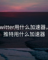 国内上twitter用什么加速器，国内上推特用什么加速器