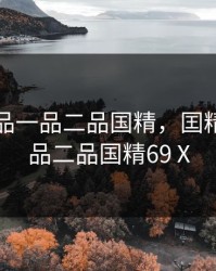 囯精产品一品二品国精，囯精产品一品二品国精69Ⅹ