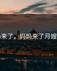 妈妈来了，妈妈来了月嫂公司