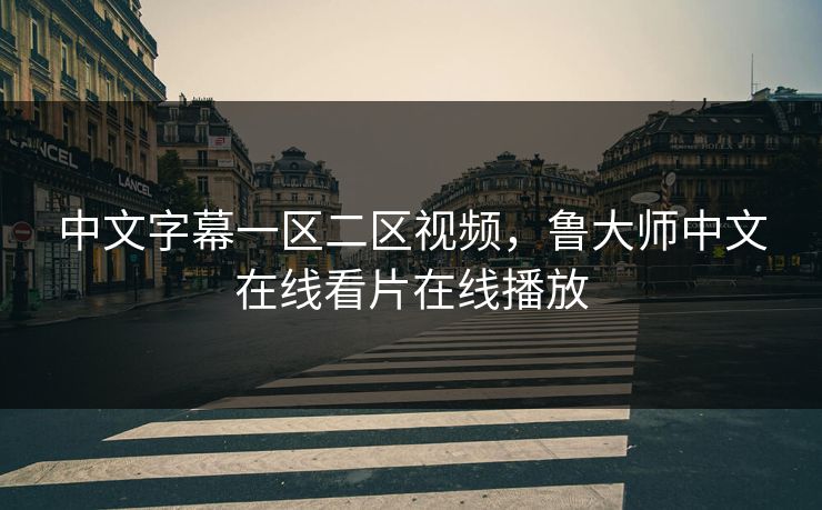 中文字幕一区二区视频，鲁大师中文在线看片在线播放