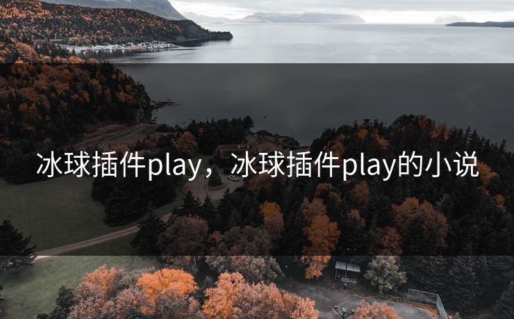 冰球插件play，冰球插件play的小说