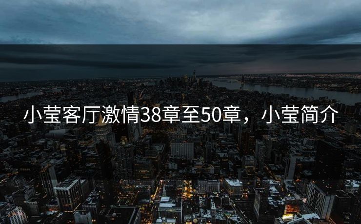 小莹客厅激情38章至50章，小莹简介
