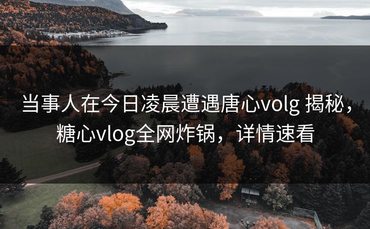 当事人在今日凌晨遭遇唐心volg 揭秘,糖心vlog全网炸锅,详情速看 当事人在今日凌晨遭遇唐心volg 揭秘,糖心vlog全网炸锅,详情速看