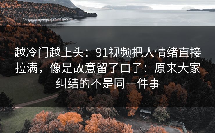 越冷门越上头：91视频把人情绪直接拉满，像是故意留了口子：原来大家纠结的不是同一件事